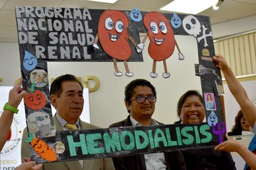 Tratado de todas las enfermedades de los riñones, vejiga y